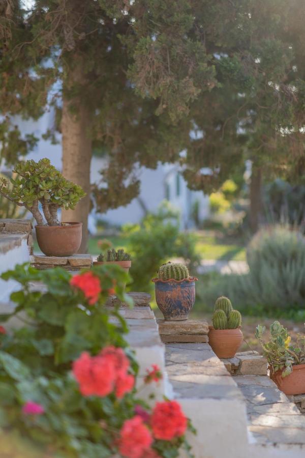 Aparthotel Antonina Agia Anna (Naxos)