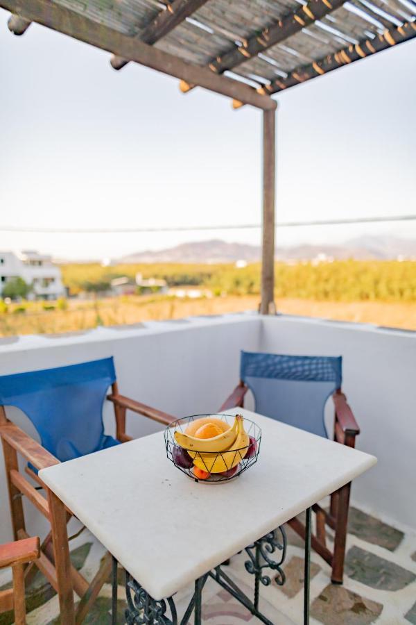 Apartahotel Antonina 2*