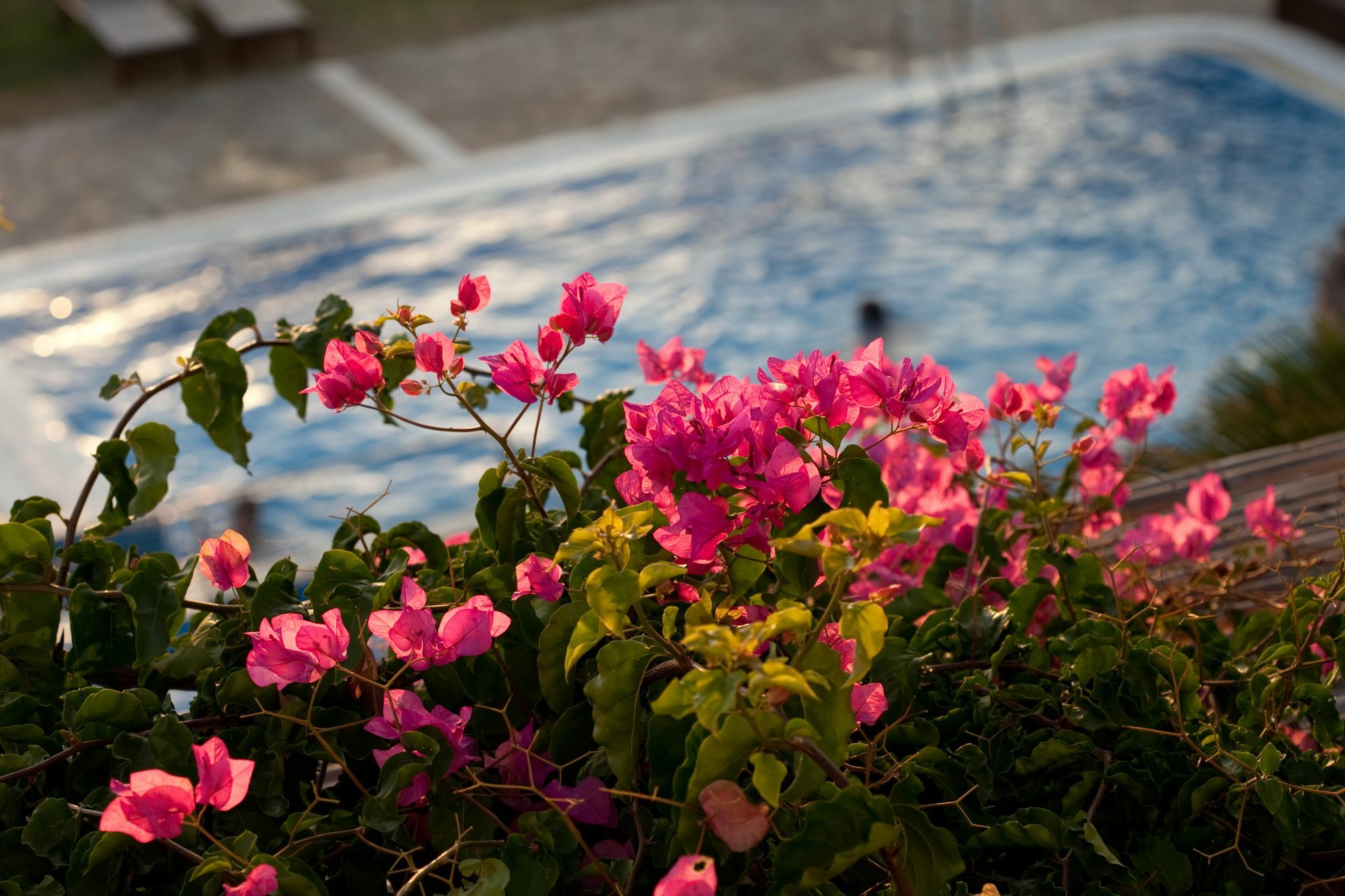 Aparthotel Antonina Agia Anna (Naxos)